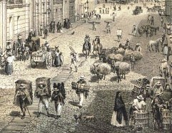 Home Page Image